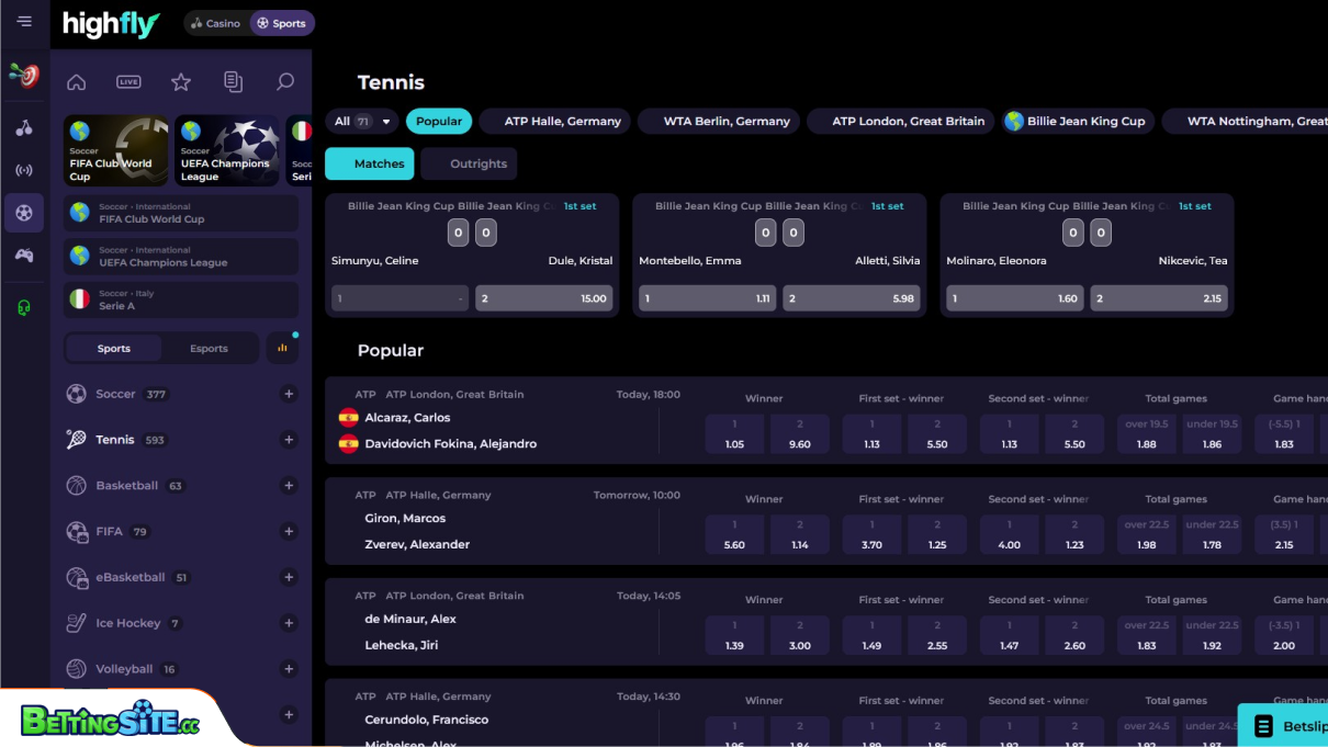 HighFlyBet Tennis betting